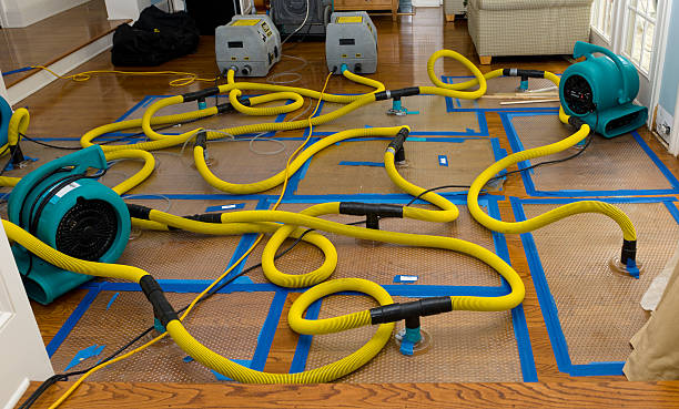 Professional Crawl Space Water Removal technician working in Johnsonburg, NJ
